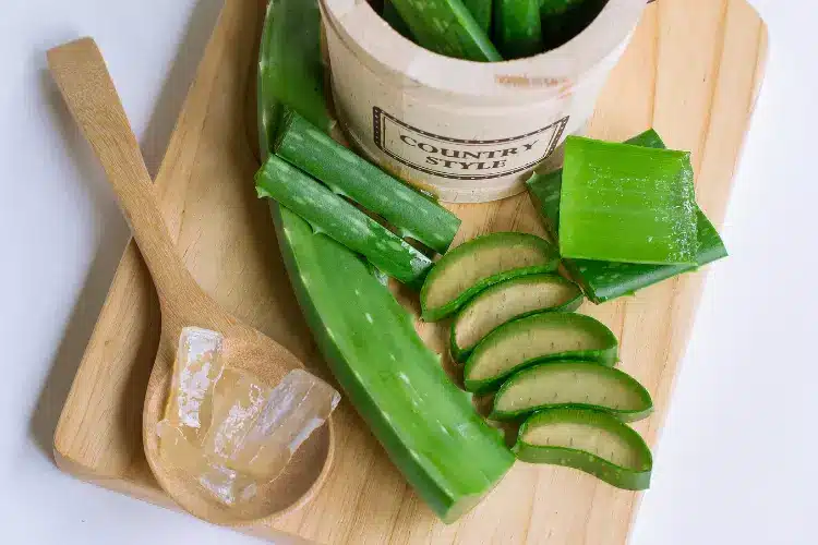 cultural use of aloe vera