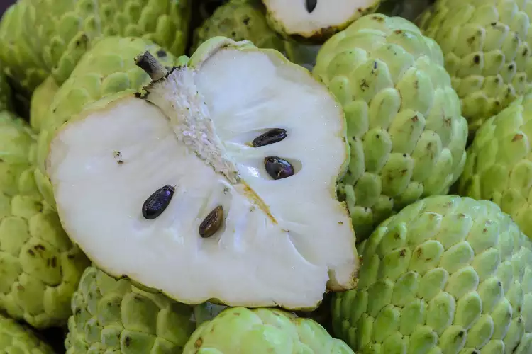 benefits of Sugar apple plant