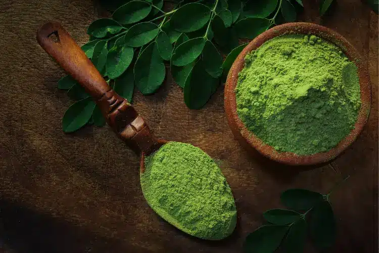 medicinal properties of Moringa