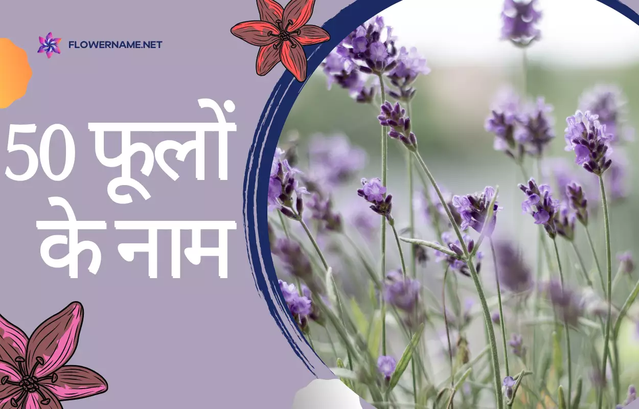 50 Flowers Name In Hindi And English